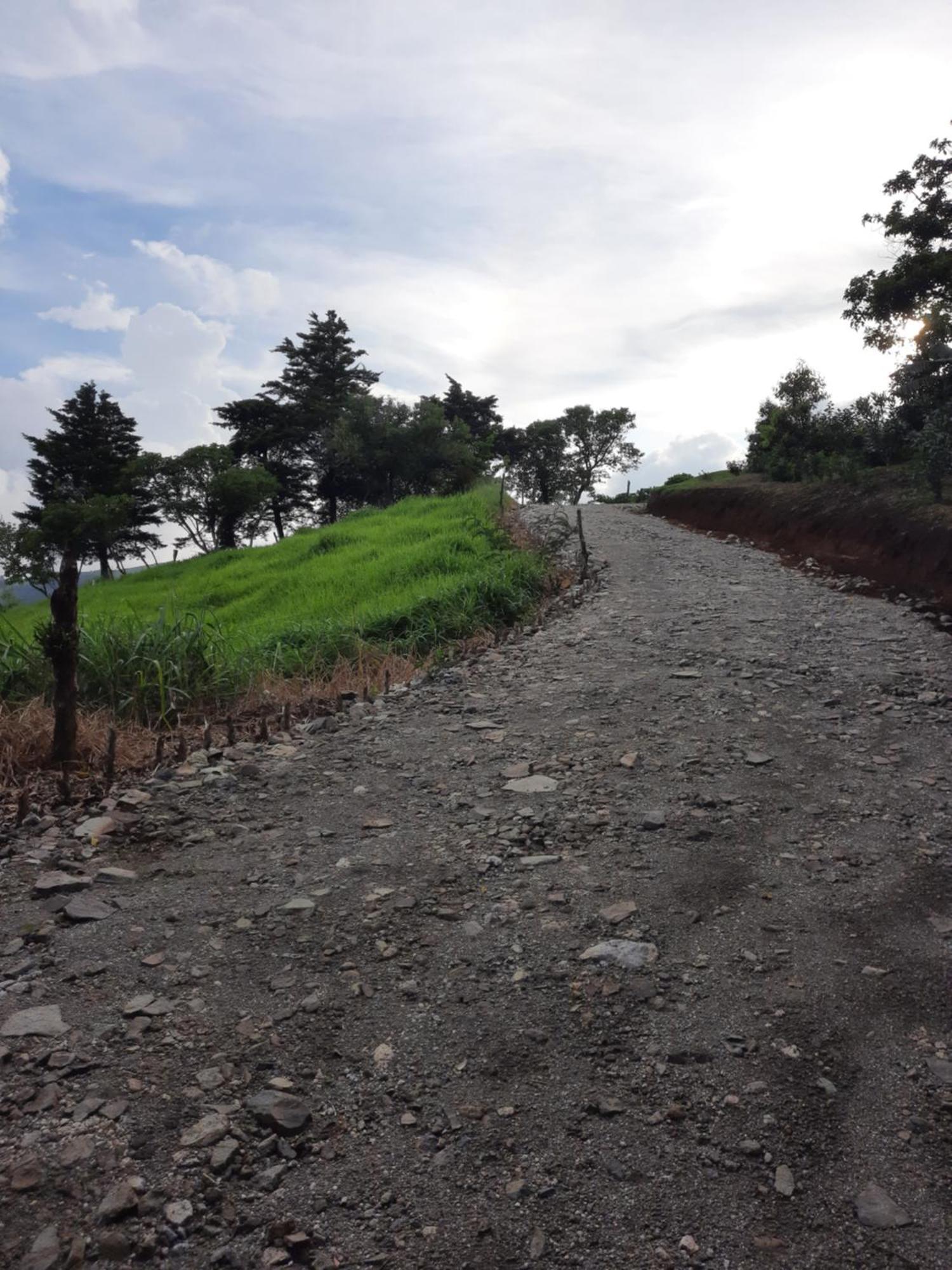Campo Azul #2 - Monteverde Phòng bức ảnh